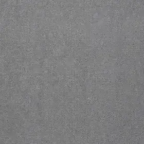 Купить коммерческий ковролин EMPHATIC II 30 56110 Timeless
